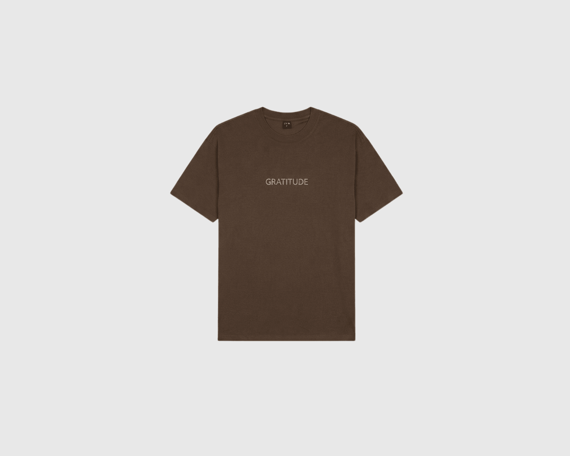 GRATITUDE Classic Tee – Vintage Presence - Brown - 1